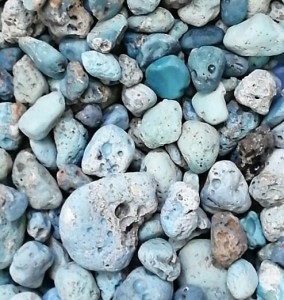 IMG-20190418-WA0018-1
